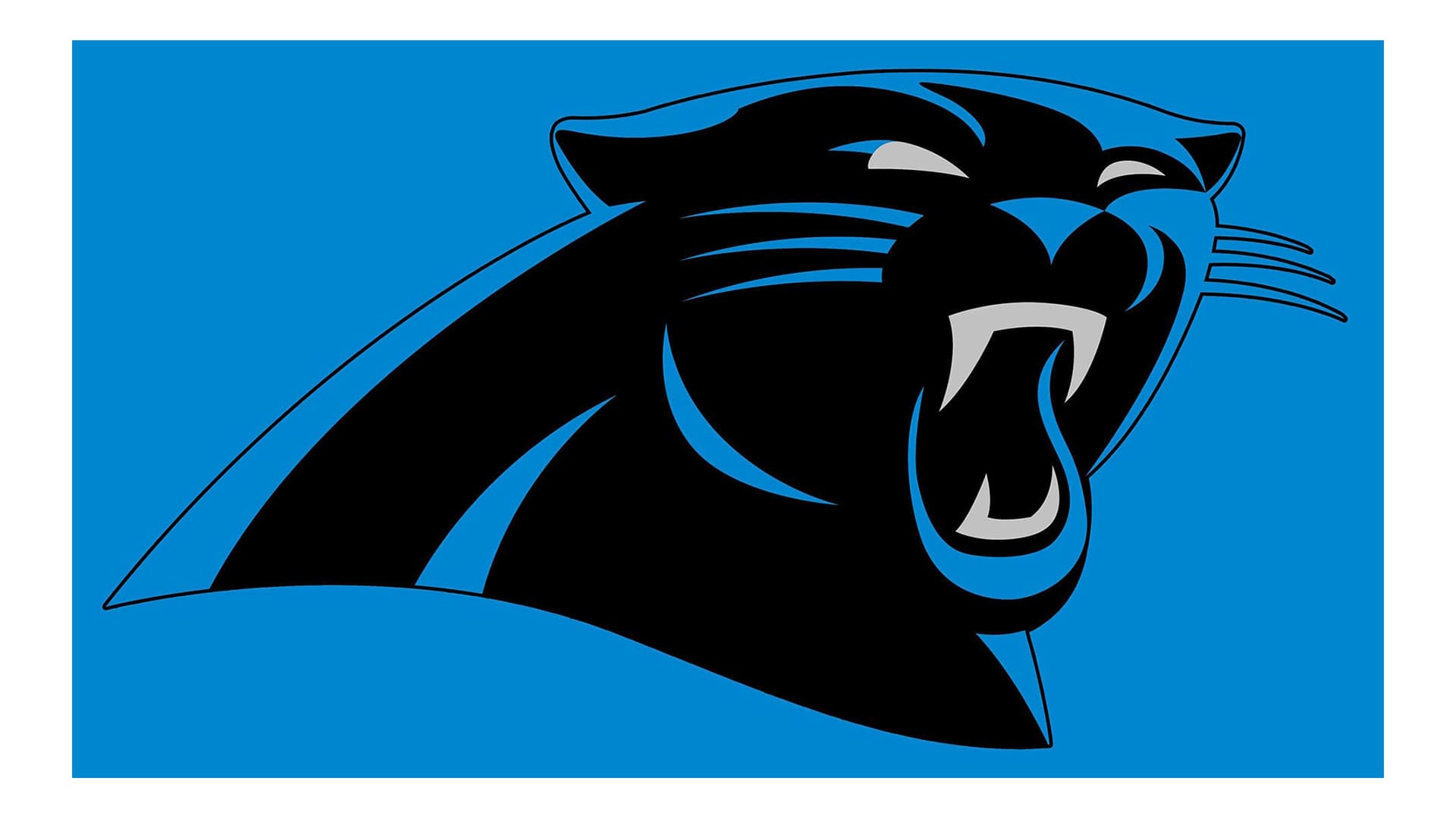 Carolina Panthers Logo Design - História e Significado