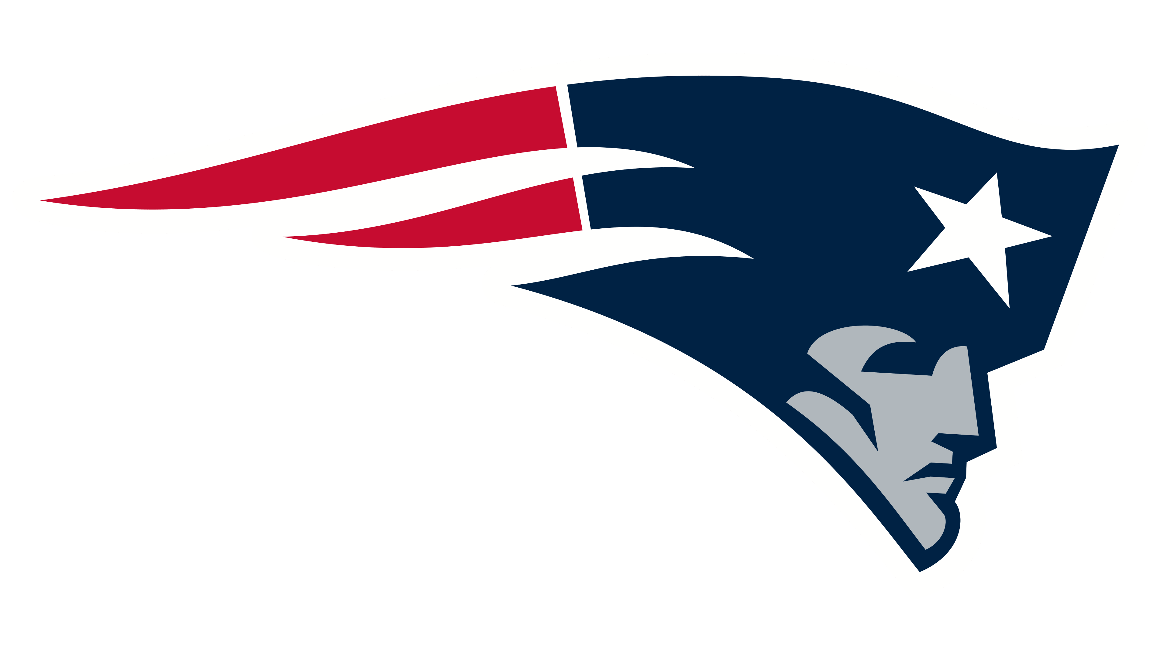 New England Patriots Logo valor, história, PNG