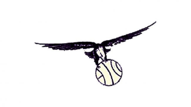St. Louis Hawks Logotipo 1955-1957
