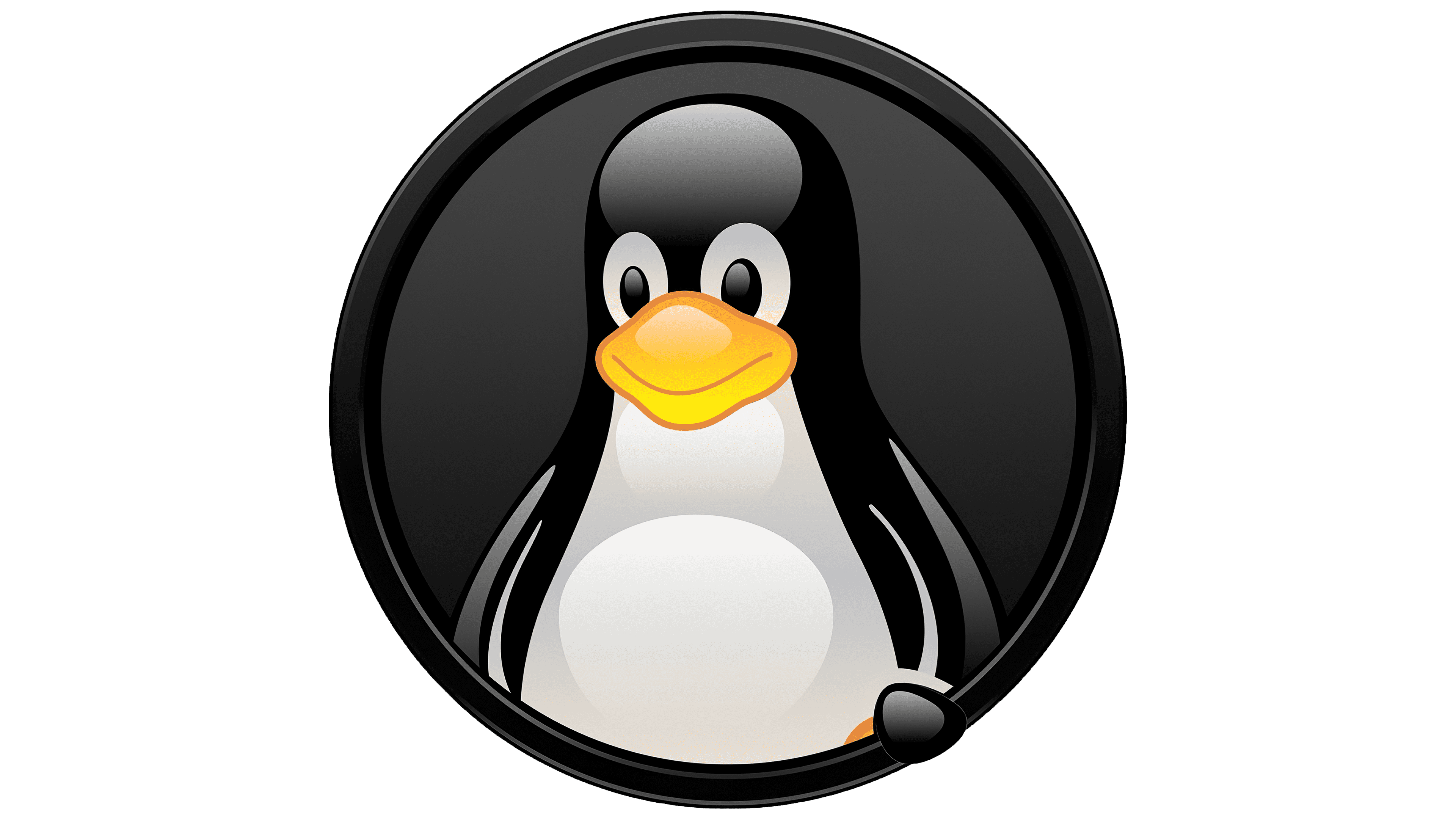 Linux Logo Valor História Png