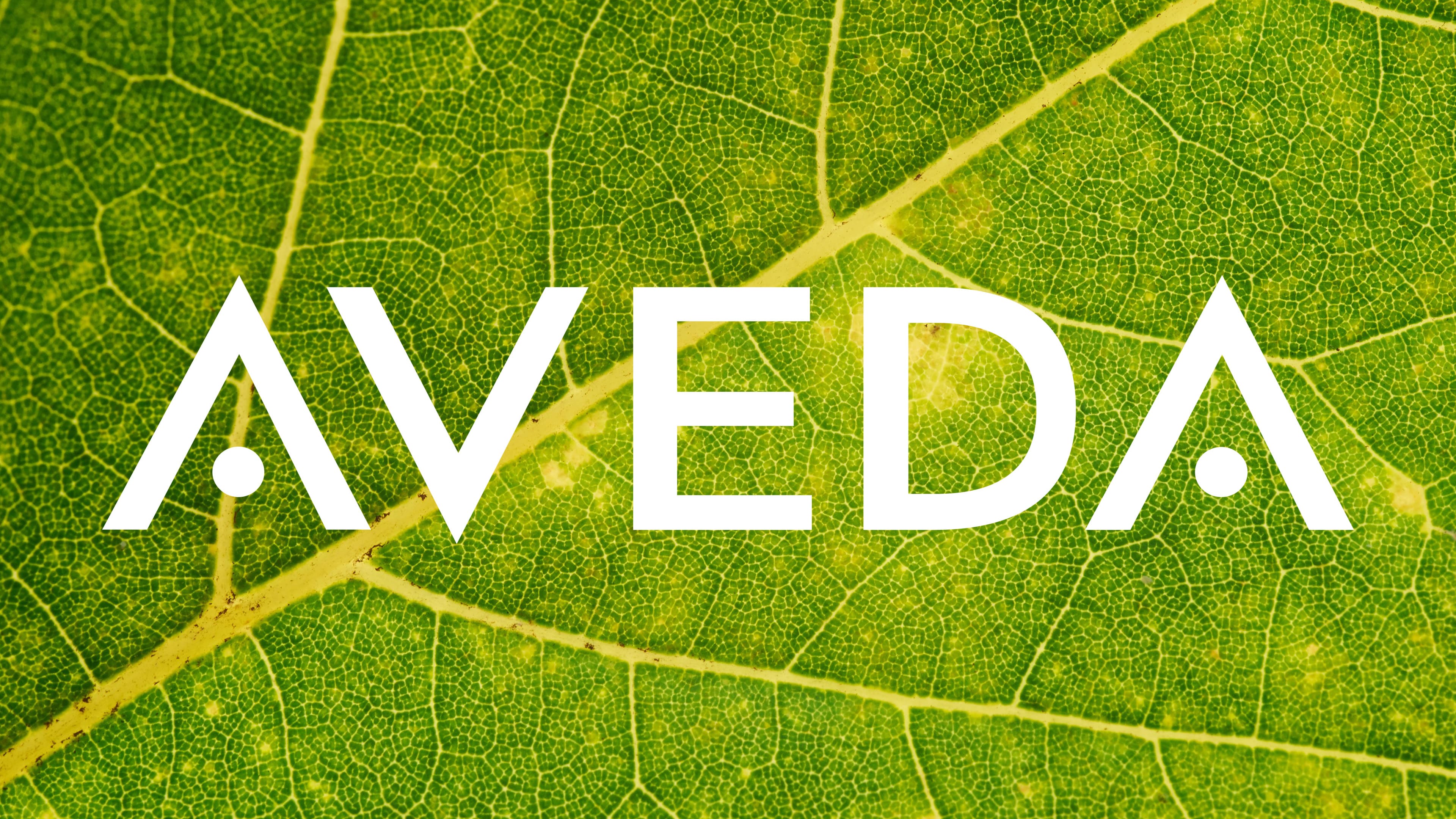 Aveda Leaf Logo Aveda Leaf Logo