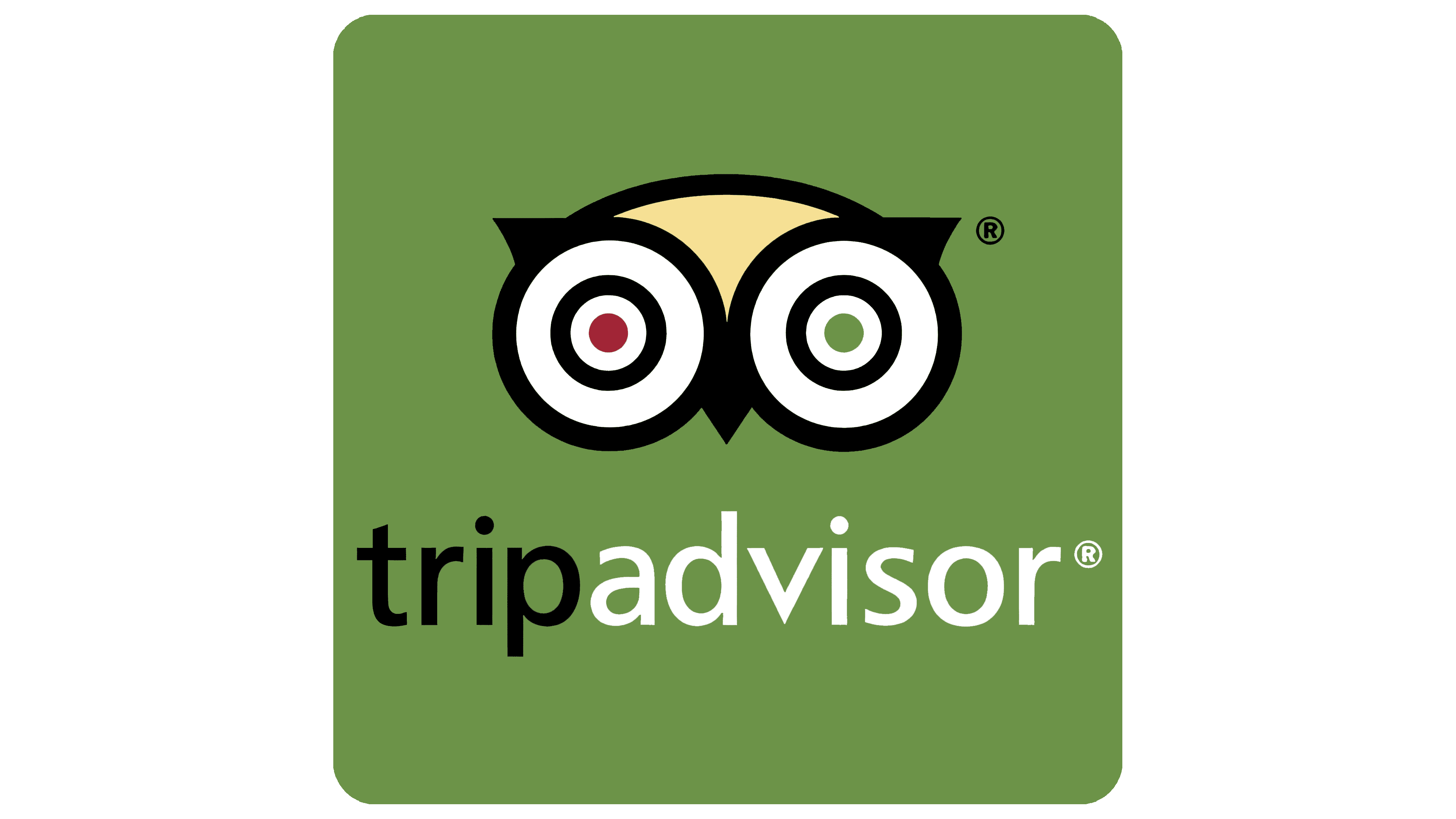Tripadvisor Logo Valor Hist ria PNG