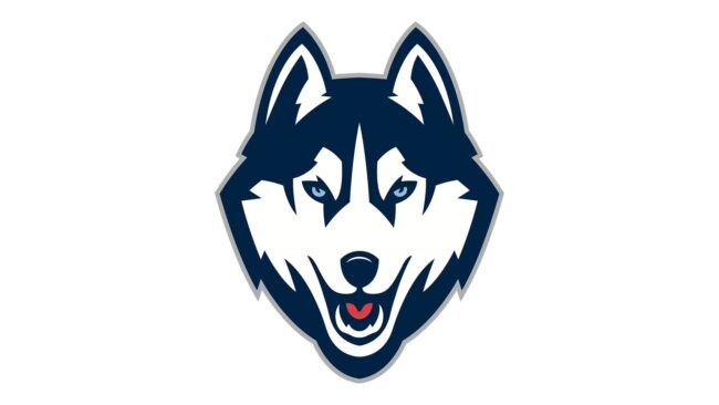 UConn Huskies Logo 2013-presente