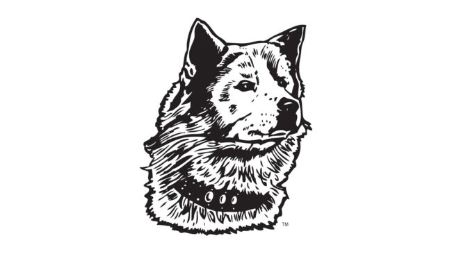 Washington Huskies Logo 1936-1937