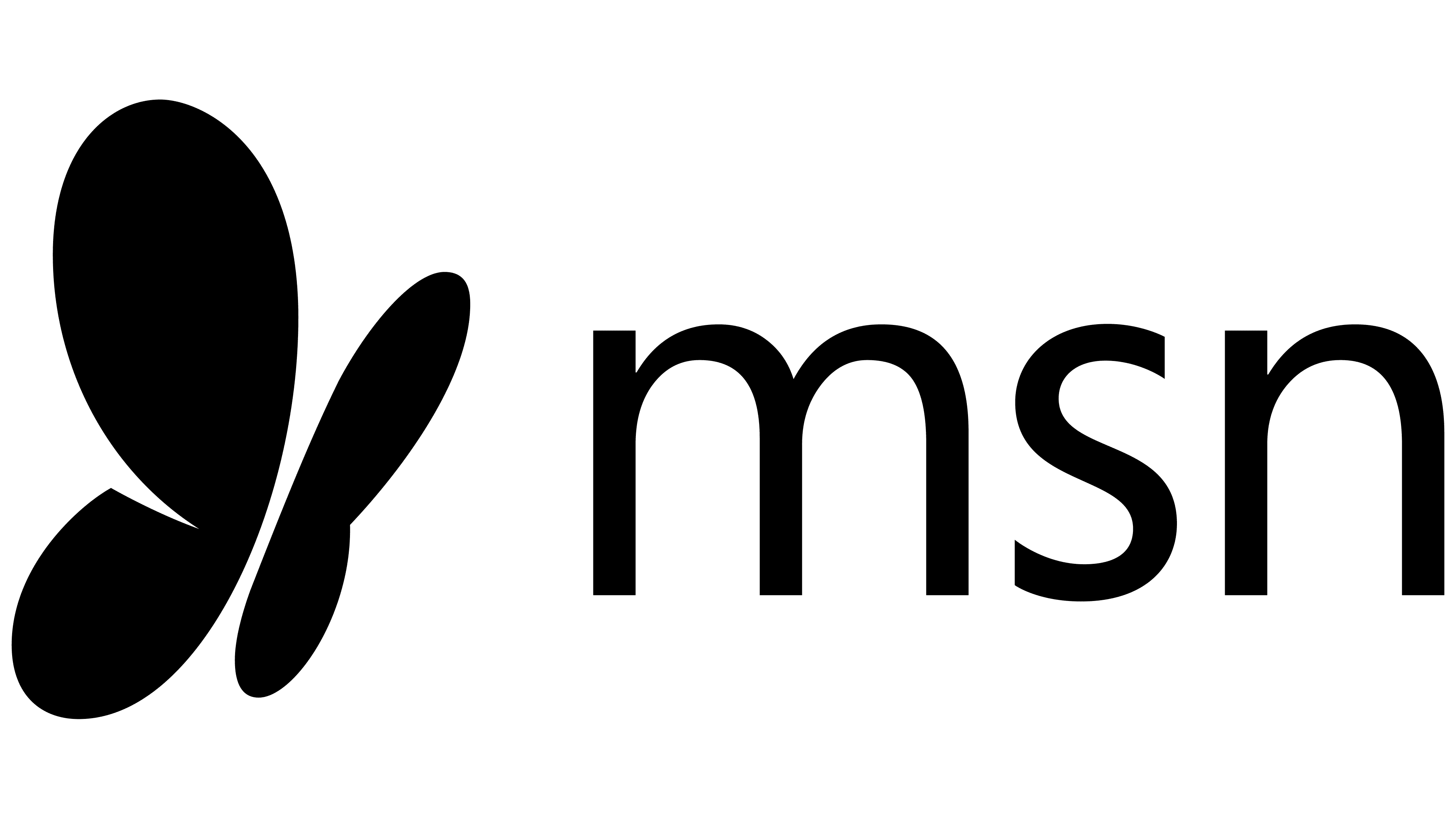 MSN Logo Valor Hist ria PNG
